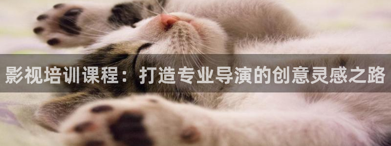 日韩精品久久久久久久电影蜜臀
