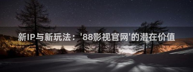 久久视频在线观看精品