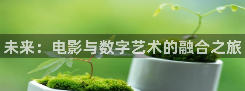久久久视频2019