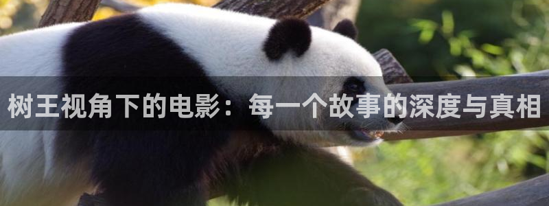 欧美久久久久视频