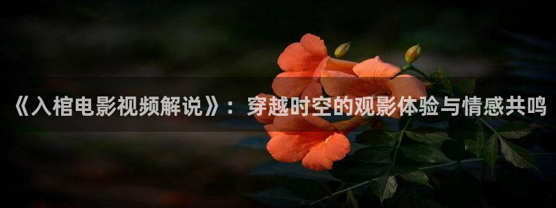久久久影院,午夜家庭影院