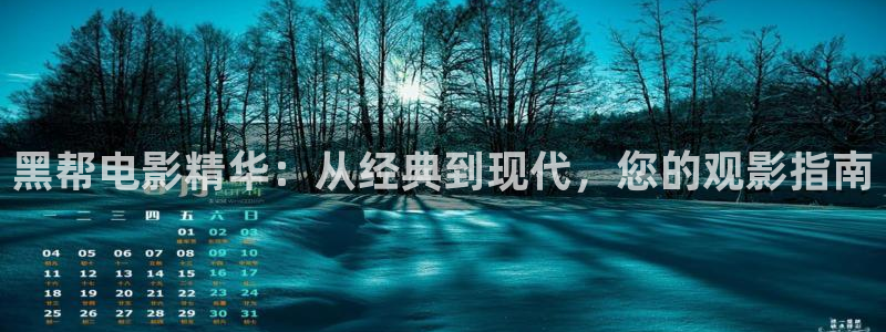 久久久久久精品成人鲁丝电影
