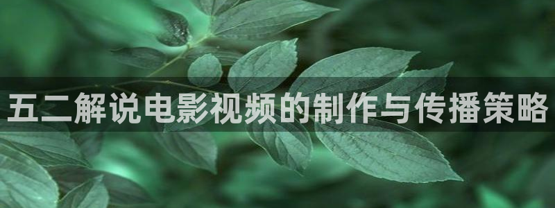 久久视频国产在线观看