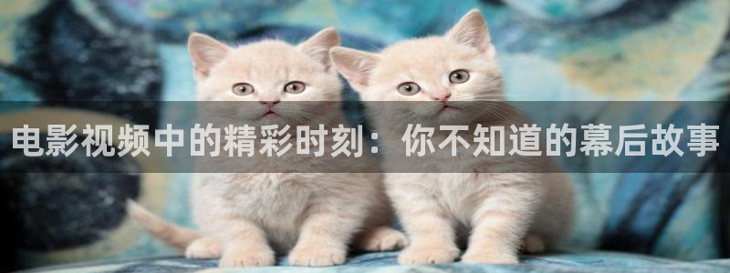 国产精品嫩草影院久久久