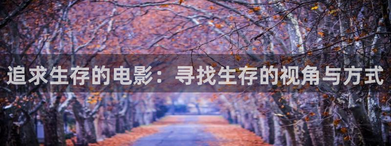 久久久精品电影网站