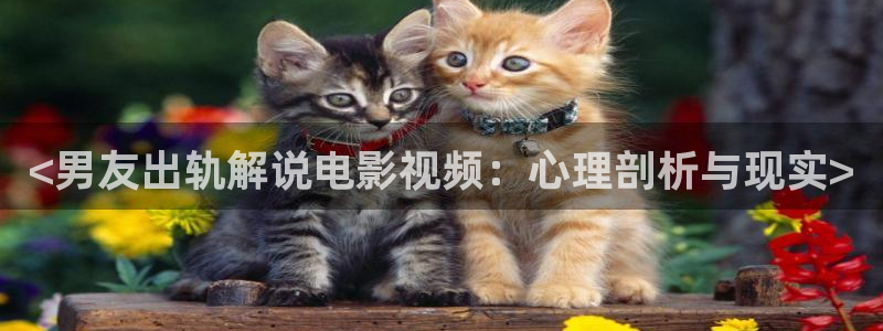 床上视频久久久久