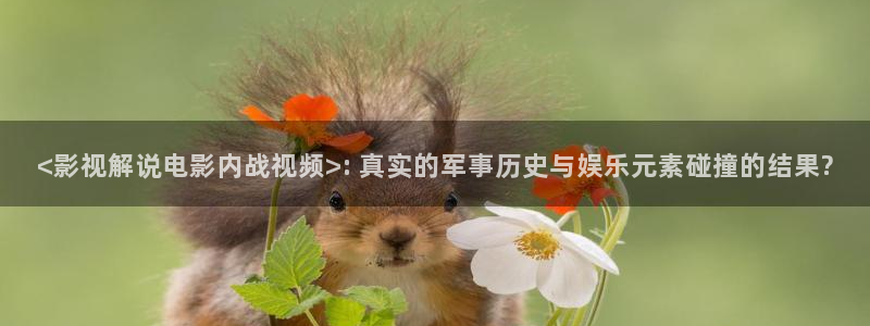 久久久久免费高清视频