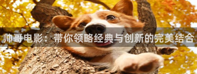 久久视频2018最佳