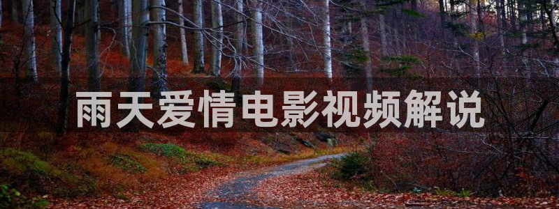 久久久久久夜夜夜视频