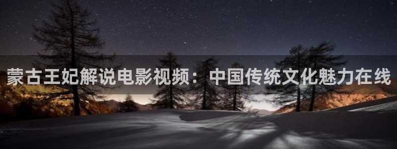 久久久久视频网站
