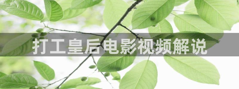 精品电影久久久久久