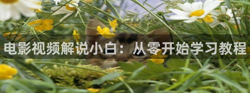 99精品久久视频