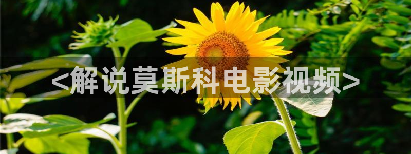 久久久电影影院在线观看免费最新电视剧