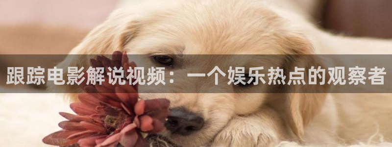 91国内精品久久久久影院