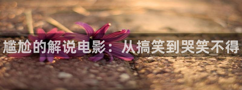 9国内精品久久久久免费影院