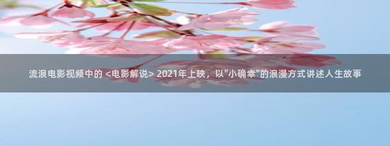 ,国产精品久久久久视频