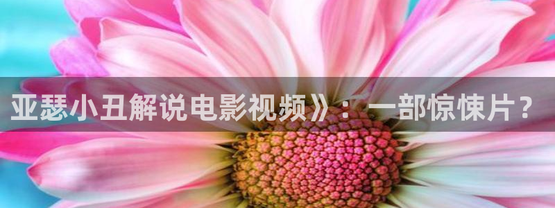 久久久国产精品人人片