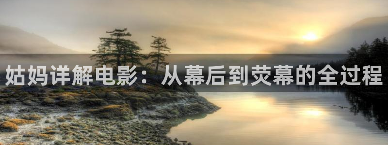 久久久久影视精品
