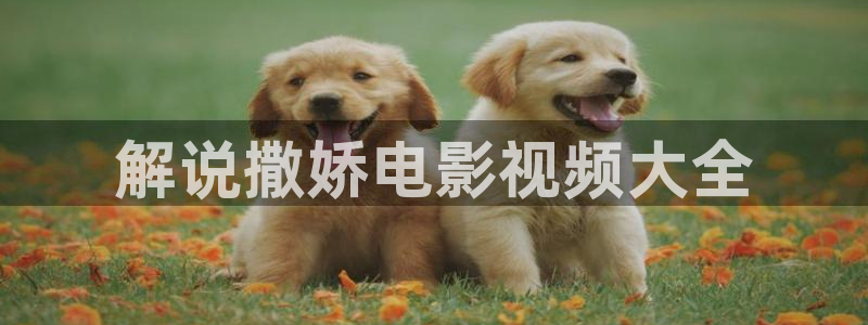 2019免费久久视频