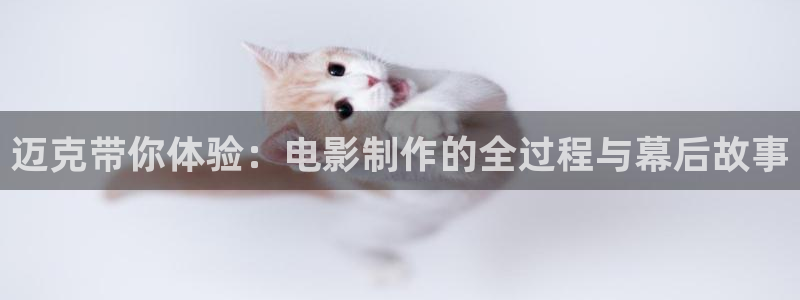 精品久久久久免费视频