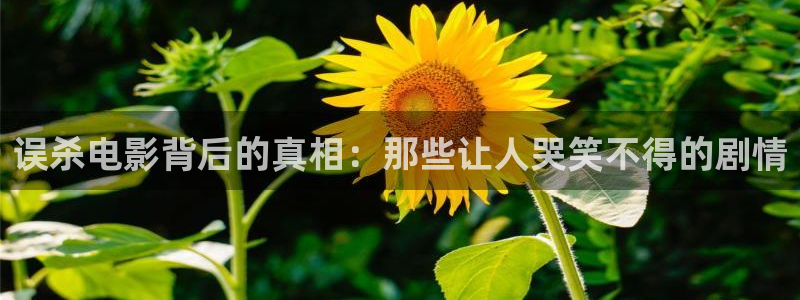 久久久影院乱