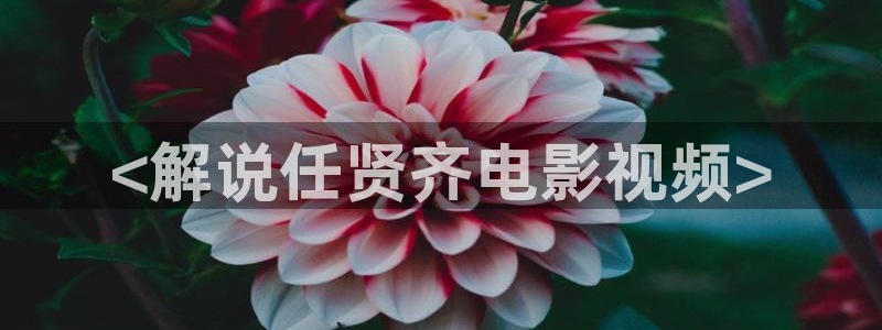 蜜桃精品免费久久久久影院