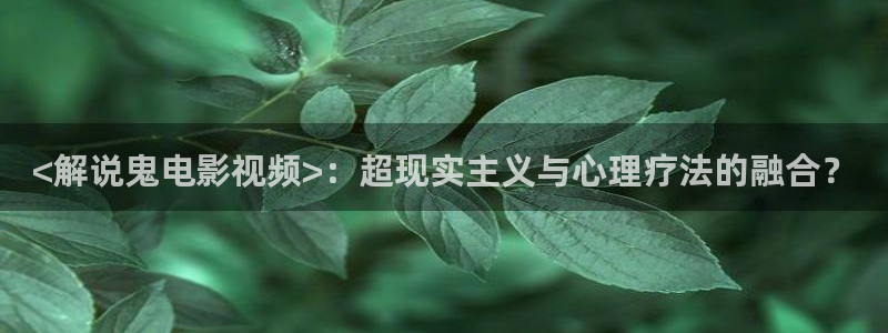 久久视频久久视频久久视频