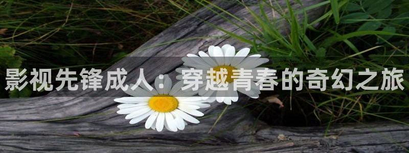 久久视频大全