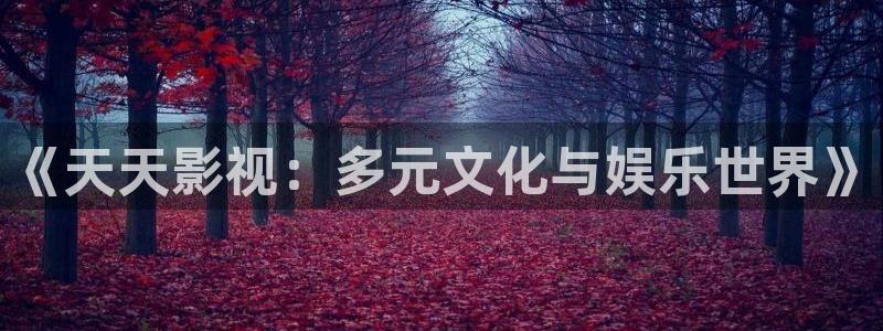 久久视频4