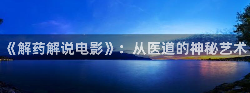 国内精品久久久久久影院8