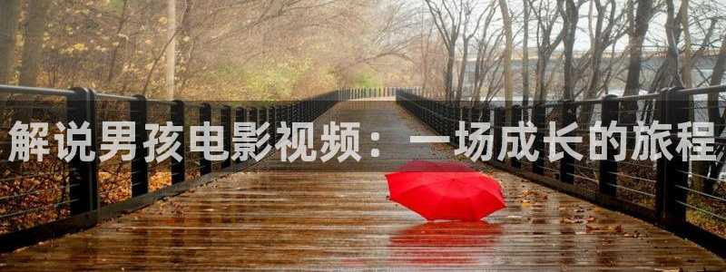 久久久不射影院