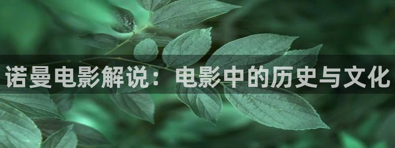 原久久视频