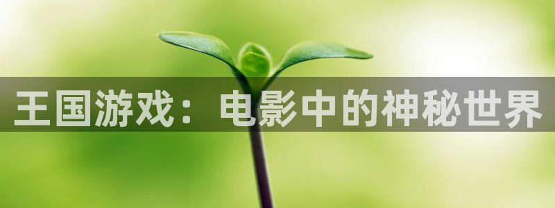 国产精品久久久久久影院8