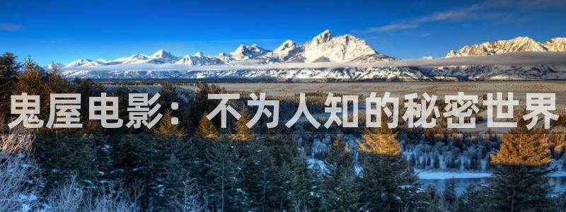 久久久久免费视频