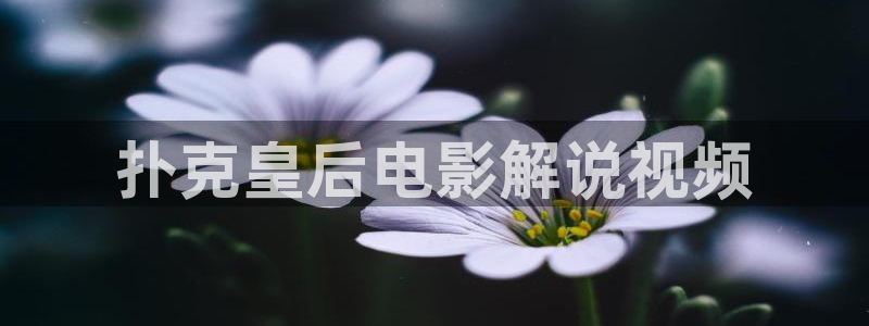 精品一区二区久久久久黄大片