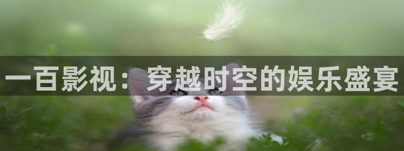 精品视频久久久久
