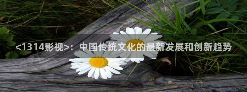 久久视频xxx