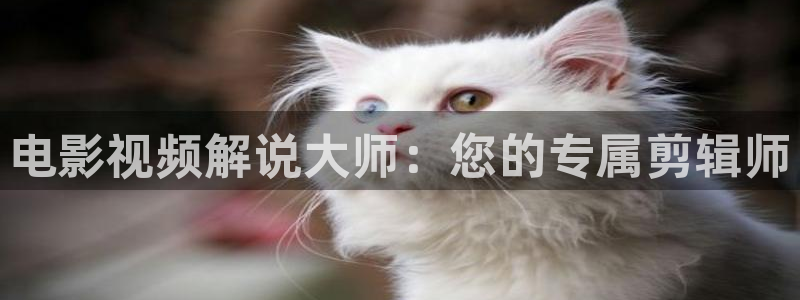 久久久精品影院av
