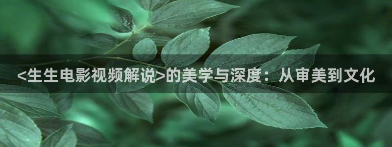久久视频只有精品
