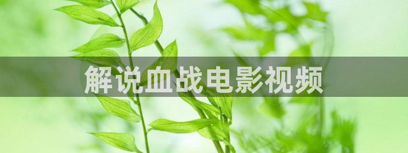 男人久久视频