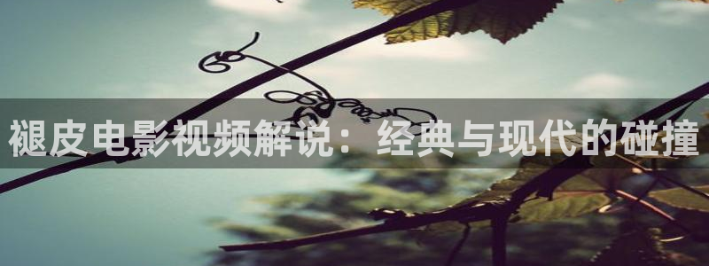 久久久久久免费视频网站