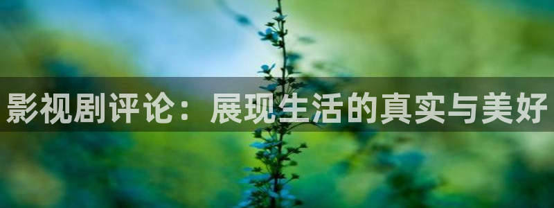 97久久视频在线观看