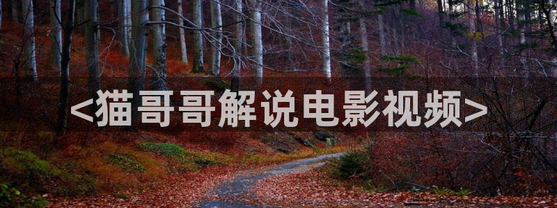 艹久久视频