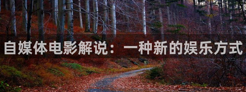 久久久久久久久影视