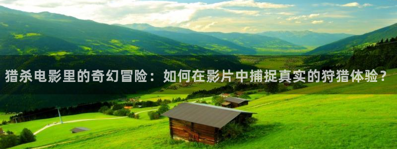 99久久视频免费