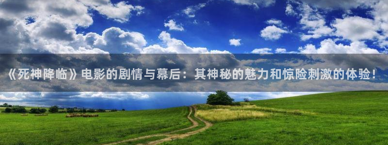 久久视频在线直播
