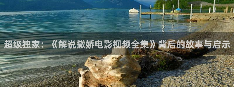 伊人影院久久久久久