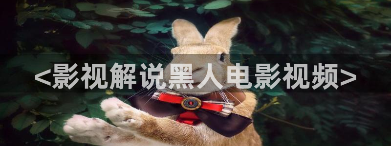 久久久免费视频