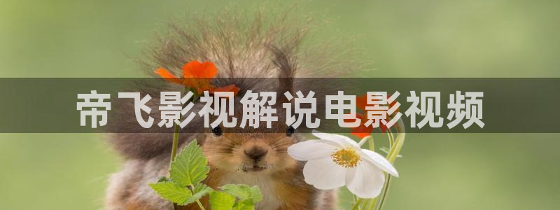 久久久影院免费