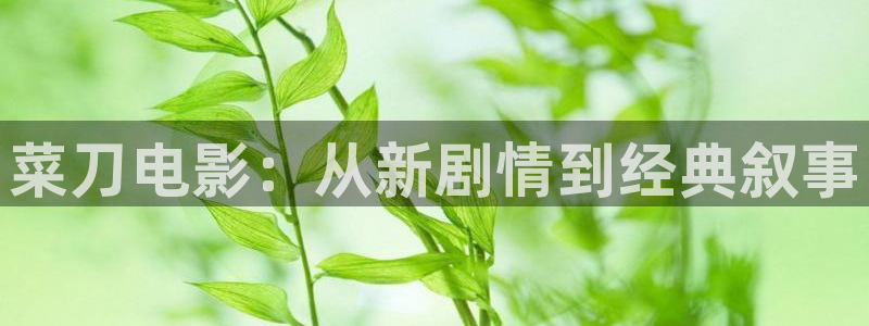 久久久久亚洲精品电影